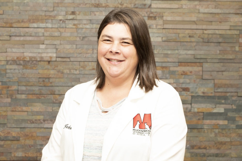 JoAnn Johnson, DVM/cVSMT