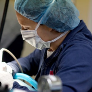 Close-up veterinarian performing surgery.