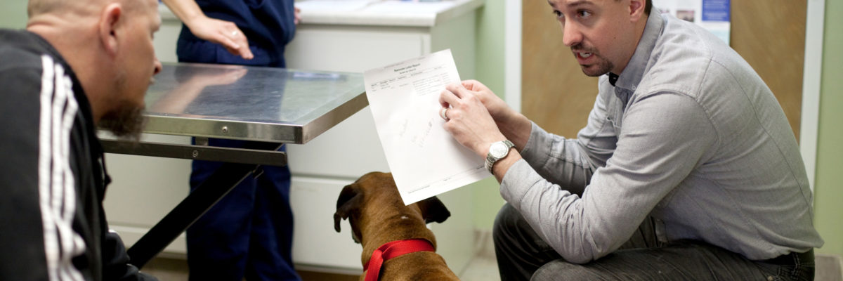 Veterinarian talking to client about dog's health in exam room.