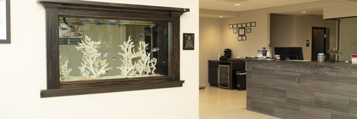 Meadowbrook front office with check-in and aquarium.