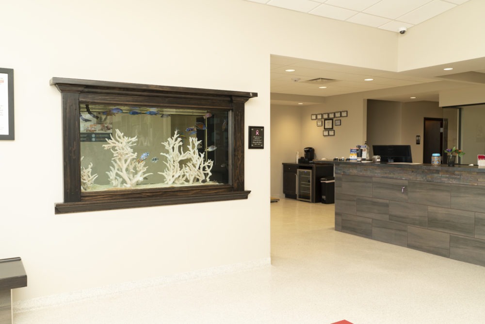 Meadowbrook Veterinary Clinic office with front-desk and small aquarium.