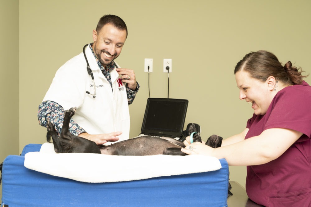 Veterinarian and staff member examining black dog on exam table.