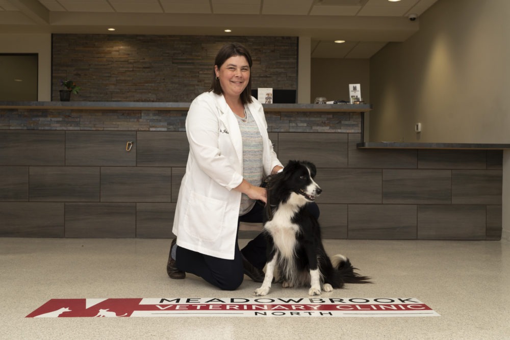 JoAnn Johnson, DVM cVSMT on clinic floor with black and white Collie.