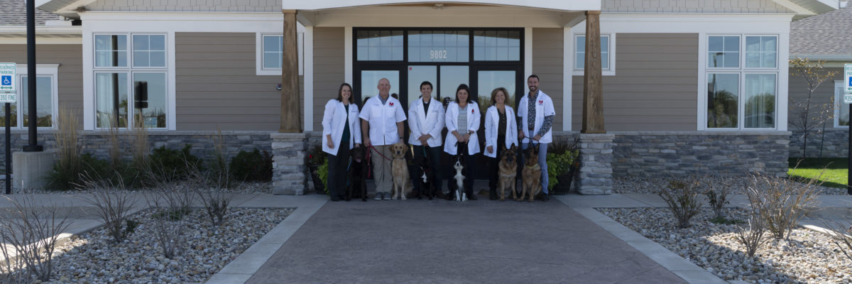 Team of doctors with dogs at Meadowbrook Veterinary Clinic.