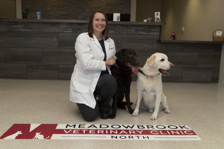 Our Team Meadowbrook Veterinary Clinic of Peoria, P.C.