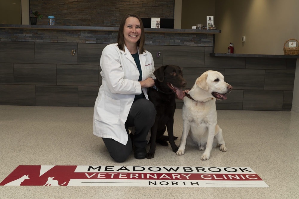 Jessica Stout, DVM on clinic floor with a brown dog and a white dog.