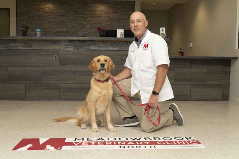 Our Team Meadowbrook Veterinary Clinic of Peoria, P.C.