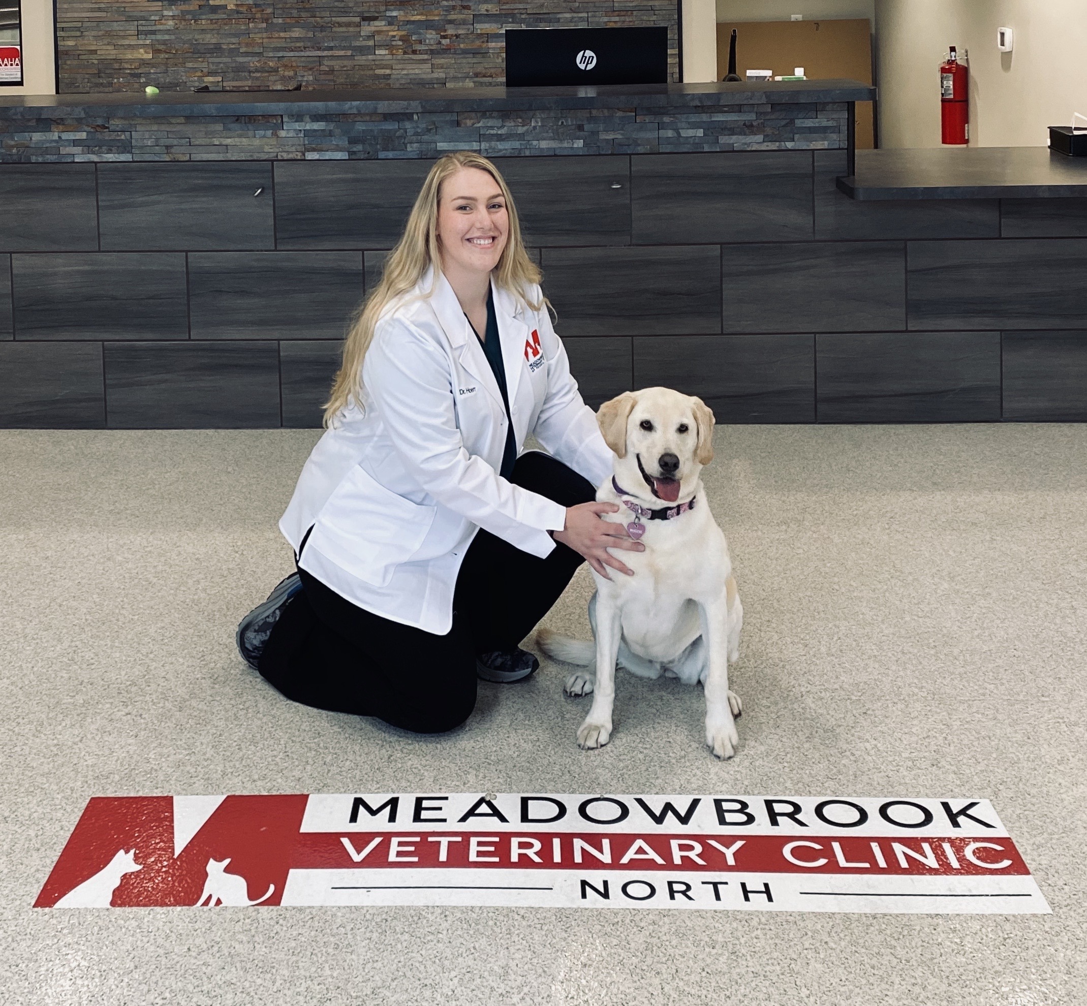 40 Top Photos Morgan Pet Clinic Boarding - Marshall County Veterinarians Marshall County Veterinary Clinic