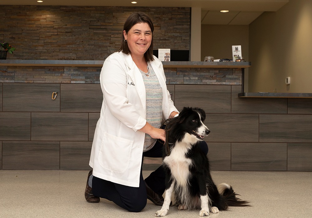 JoAnn Johnson, DVM cVSMT