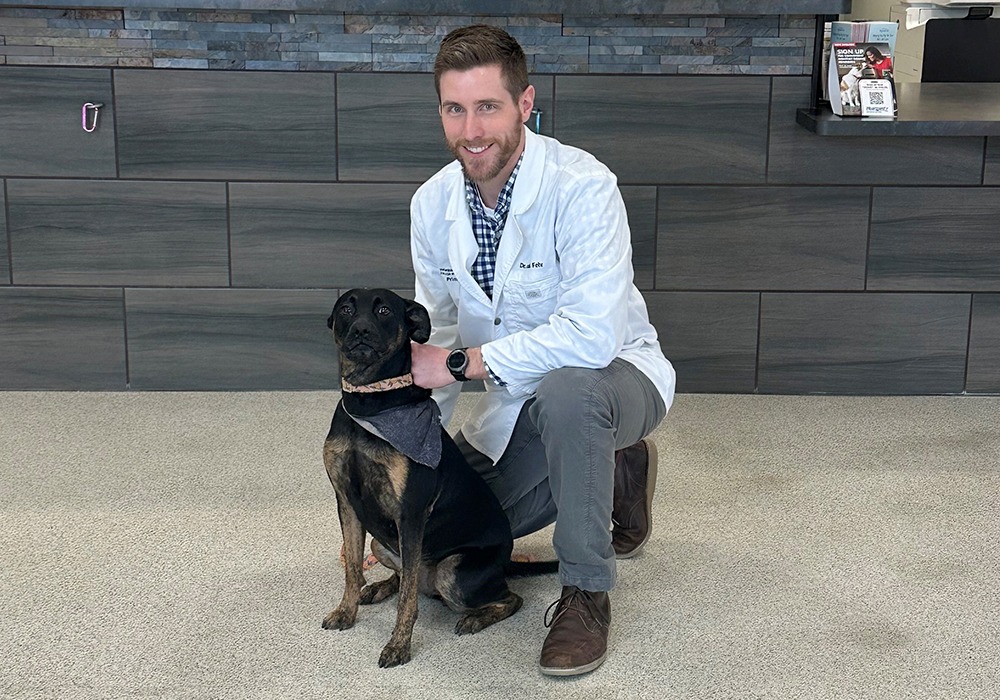 Our Team Meadowbrook Veterinary Clinic of Peoria, P.C.