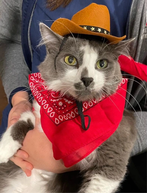 Welcome to Meadowbrook Veterinary Clinic