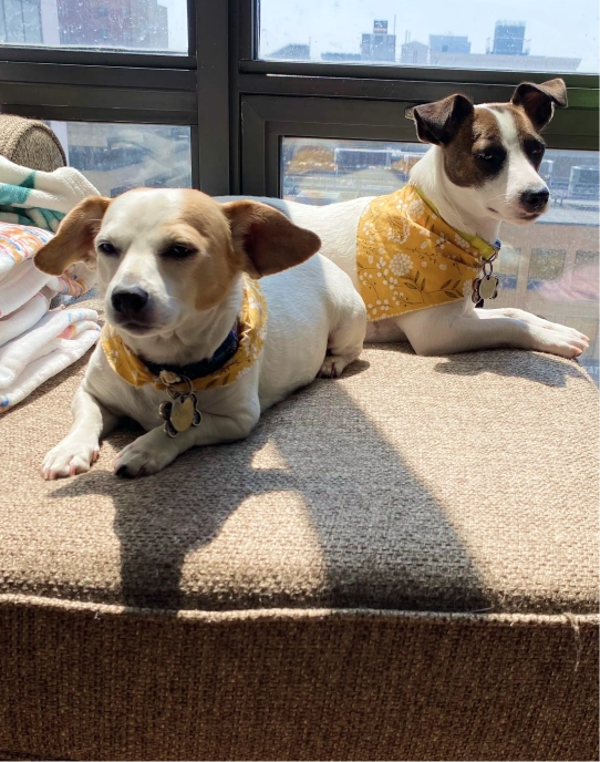 We’re Excited to Meet You & Your Pet
