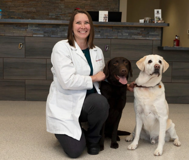 Dr. Jessica Stout