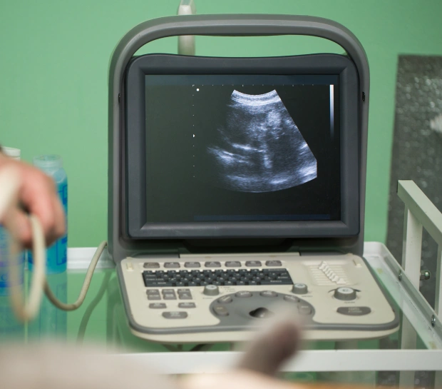 Veterinarian performing an ultrasound scan, showcasing advanced pet diagnostic imaging