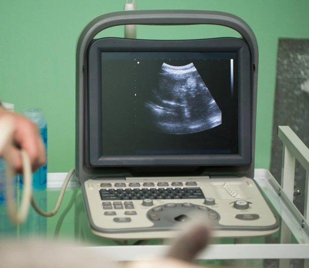 Veterinarian performing an ultrasound scan, showcasing advanced pet diagnostic imaging at our South Peoria clinic